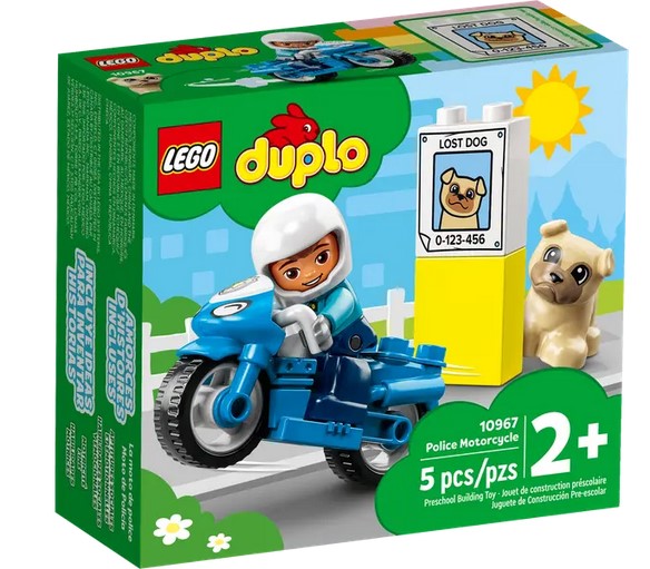 DU MOTOCICLETTA DELLA POLIZIA