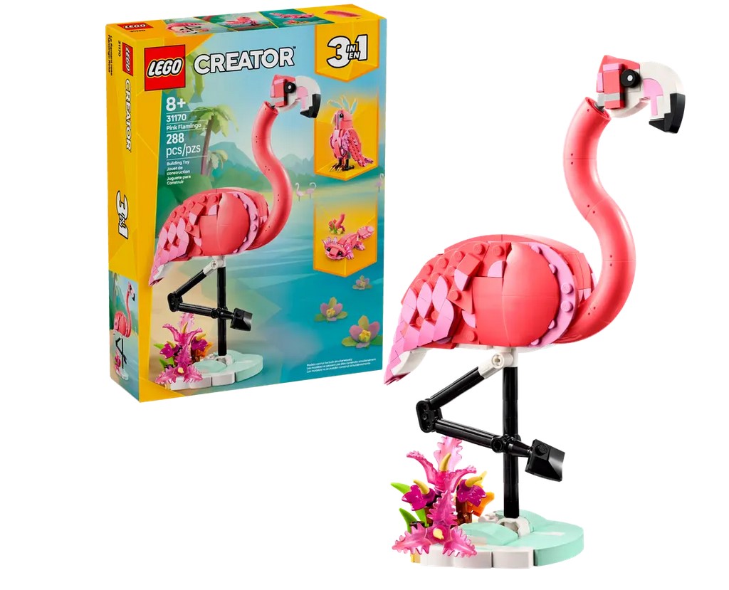 CREA ANIMALI SELVATICI FENICOTTERO ROSA