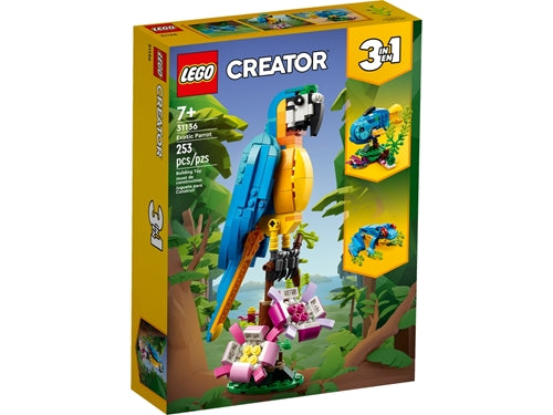 CREATOR PAPPAGALLO ESOTICO