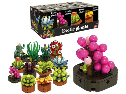 MATTONCINI EXOTIC PLANTS