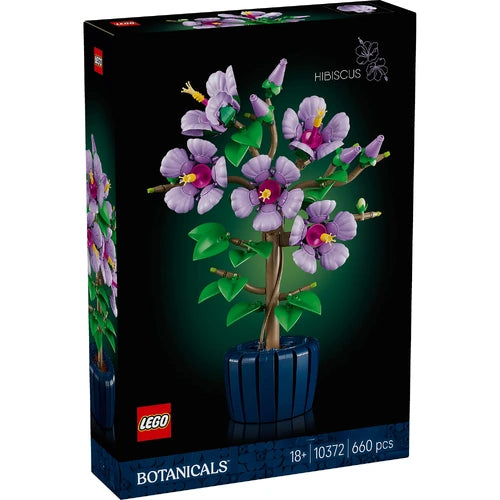 BOTANICALS IBISCO